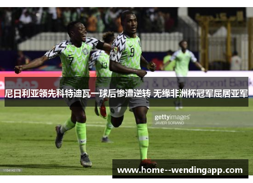 尼日利亚领先科特迪瓦一球后惨遭逆转 无缘非洲杯冠军屈居亚军