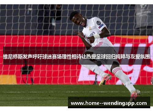 维尼修斯发声呼吁球迷赛场理性相待让热爱足球回归纯粹与友爱氛围